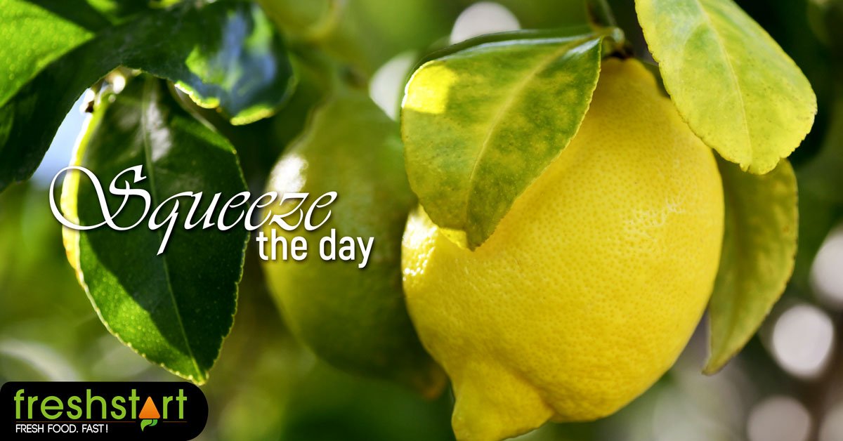 Fresh_StartFood's tweet photo. Let us bring some zest to your menu with these juicy lemons.  Whether in a delicious cheesecake or over some king prawns, they are an ingredient no restaurant can survive without. https://t.co/psWrW6IYwj