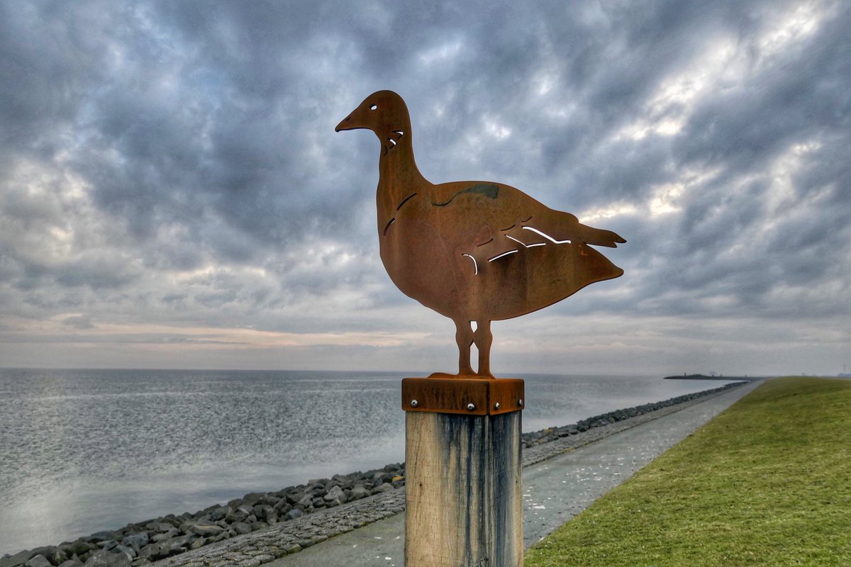 Een <a href="/PolderPracht/">PolderPracht</a> Gans  als info punt op de Waddendijk #fietsroute  #Terschelling  <a href="/waddenjournaal/">m</a>