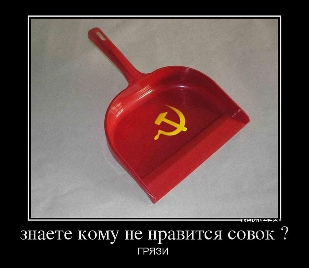 слушать книгу совок