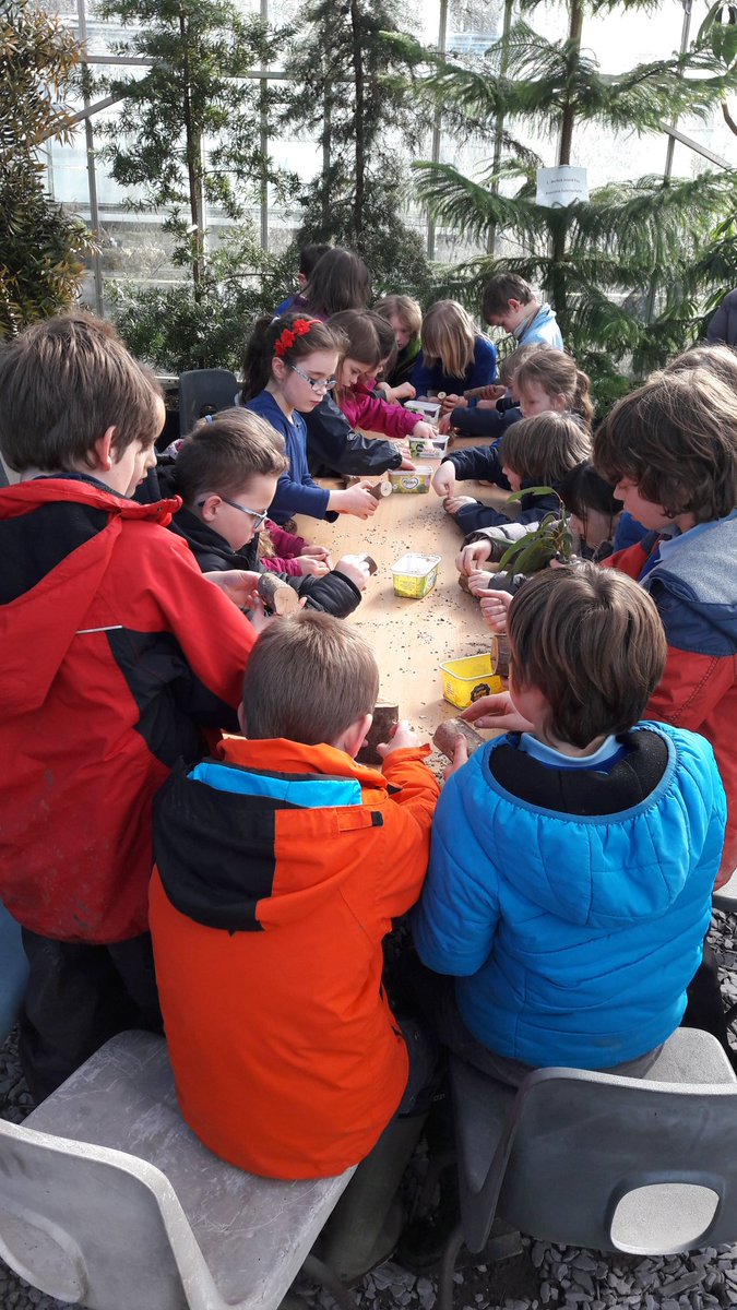 YsgolBodfeurig's tweet photo. Paratoi bwyd ar gyfer yr adar. Preparing bird feeders #gerddibotaneg #wildelements @YsgolBodfeurig https://t.co/uOUSSPjaS7