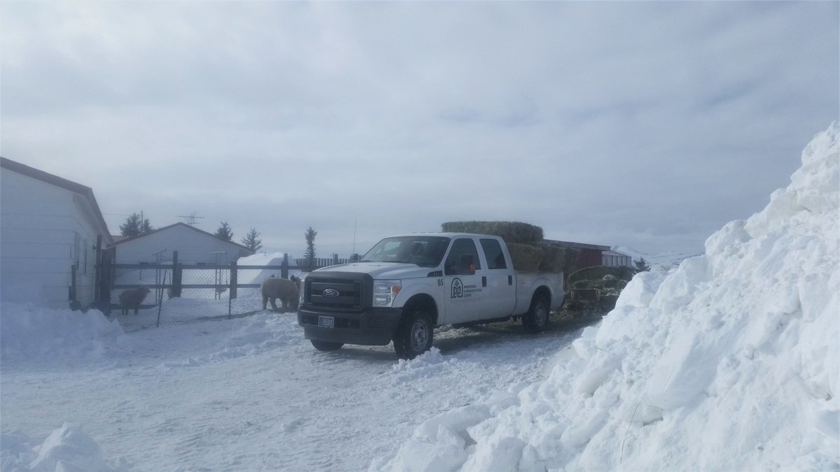 The Corps Network tweet media