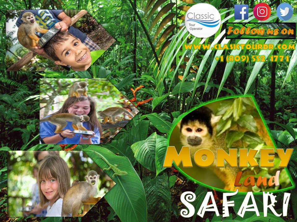 Classic Tour tweet media