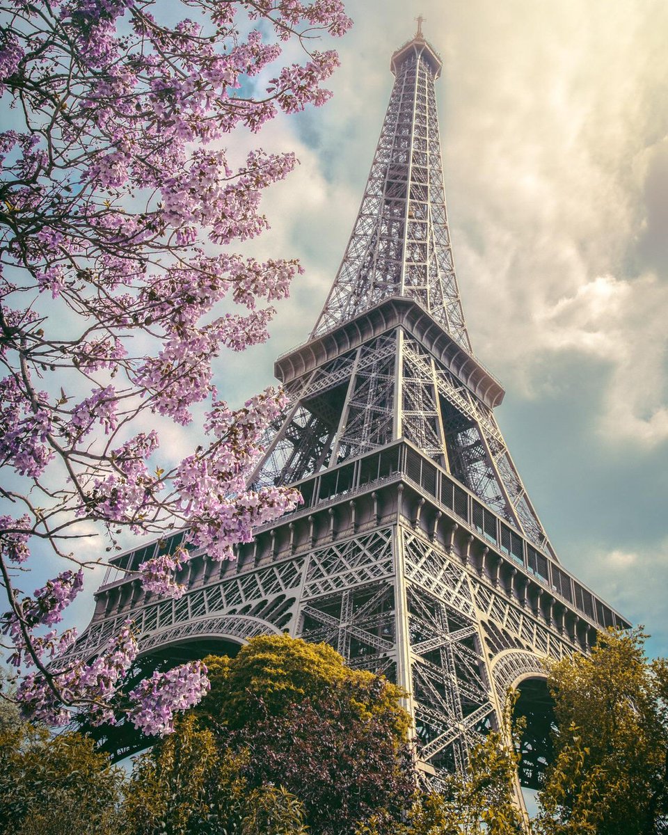 markedshot's tweet image. With Spring season approaching, we want to see how you enjoy the best season of the year! 
Thank you Paulo Silvio (markedshot.com/paulotravels) for this amazing photo of the Eiffel Tower!🗼🌸✨ #Springlovin
#Markedshot #MSfeatures #SnapandbeRewarded