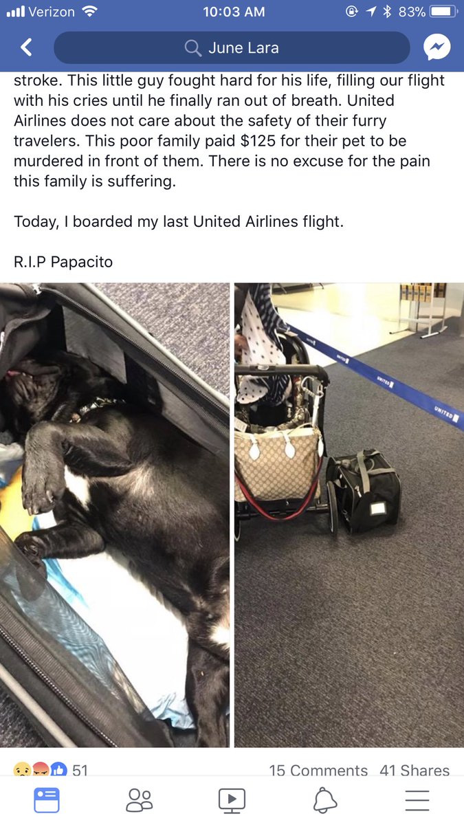 Thank you <a href="/united/">United Airlines</a> for ruining such an innocent life, and for traumatizing a little 8 year old girl who loves and now misses her dog Papacito.