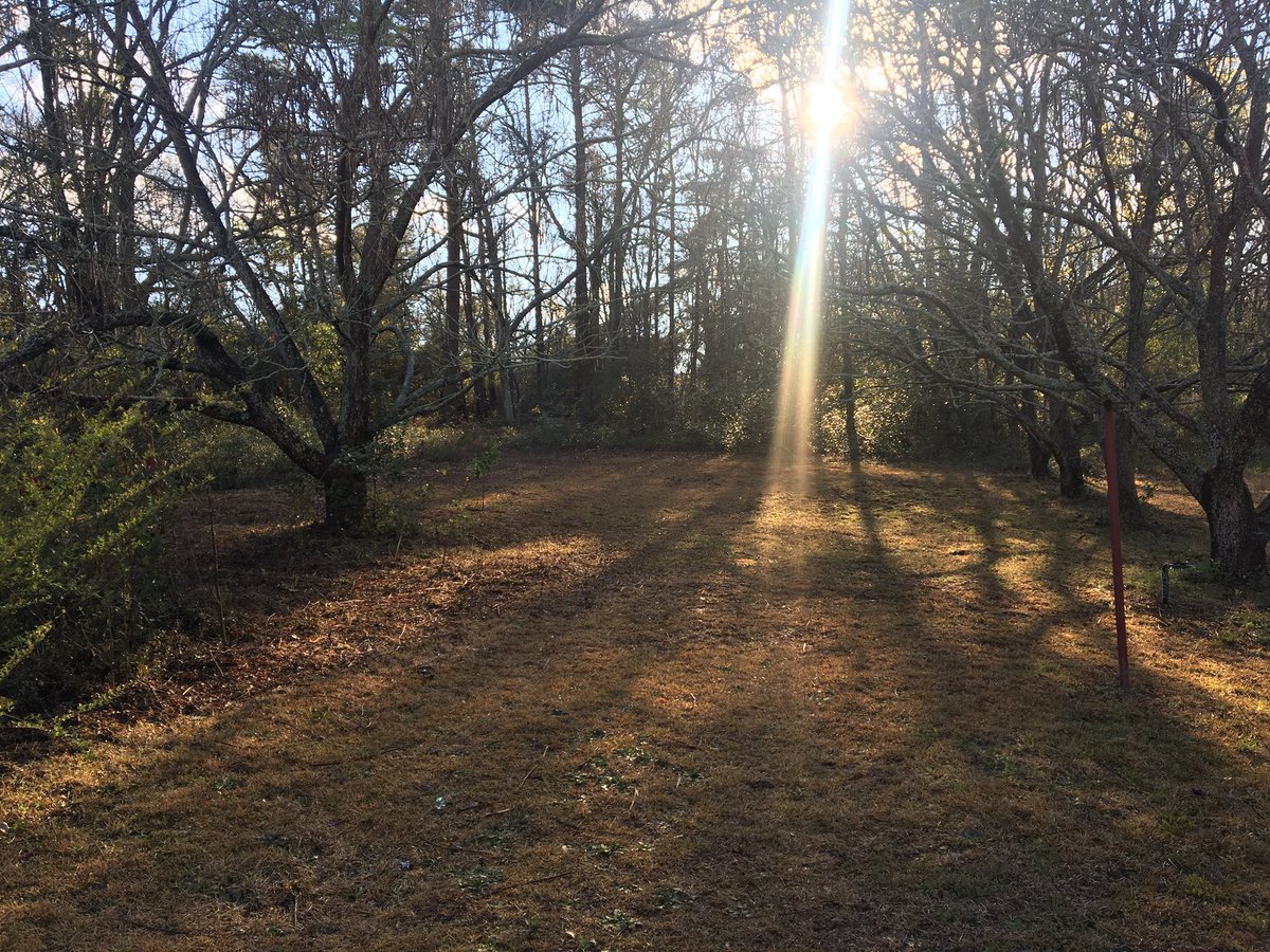 KellyWileyNews's tweet photo. I snapped this picture yesterday  of where 16-year-old Janell Carwell was found. 
My first thought when I looked at the picture: 
“Nothing is hidden that won't be exposed. Nor is anything concealed that won't be made known and brought to the light.”(Luke 8:17) https://t.co/pyu9GuTFfH