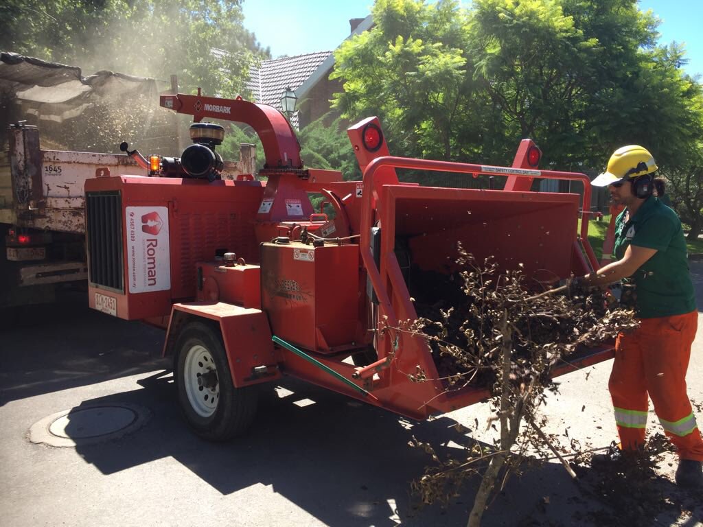 MunicipioE's tweet photo. #CHIPEADORA/ En el #MunicipioE contamos con el servicio de máquinas #chipeadoras que recorren el territorio recolectando las ramas que se extraen durante las podas. Verificá acá ➡️ que día de la semana pasa por tu cuadra y como dejar las ramas: https://t.co/zotTrA5EhS https://t.co/4d8RDAlN5S