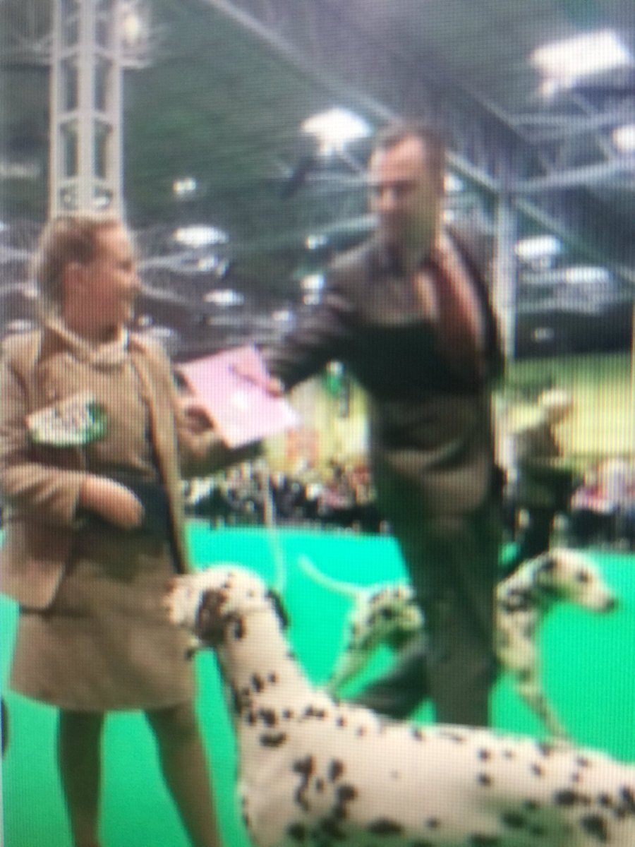 RiddingsJnr's tweet photo. Hugely proud of a super achievement at Crufts. After only 10 months of hard work the only child handler in the Dalmatian breed achieved a Very Highly Commended award. Well done (&amp; well done to Dolly the Dalmatian!) A Best in Show winner of the future we hope! 🐶 🏆 https://t.co/WiSMflfxUi