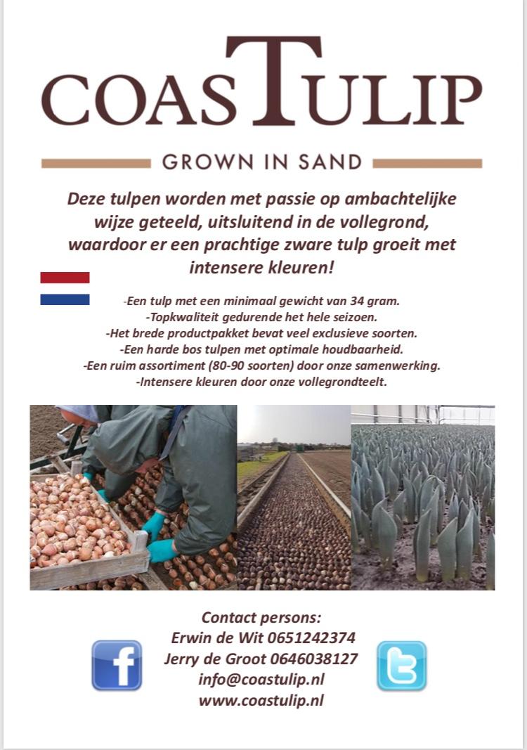 CoasTulip1's tweet photo. Voor we het vergeten zijn 💪 https://t.co/SovOKhgySk
