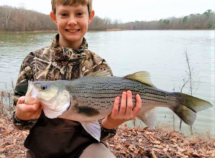 _Darcizzle_'s tweet photo. RETWEET if YOU support kids #fishing like WINNER young Mr. John here with a rock fish/striper out of NC! #kids #ParentingTip https://t.co/XE5K4FqVTa