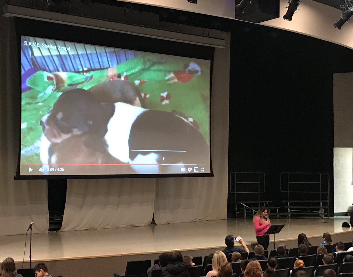 BTES_Bulldogs's tweet photo. Thank you to the amazing student volunteers from S.A.V.E. Animal Rescue for presenting to our students today. Awesome job! #btesbulldogs https://t.co/ItFxaPmdAe