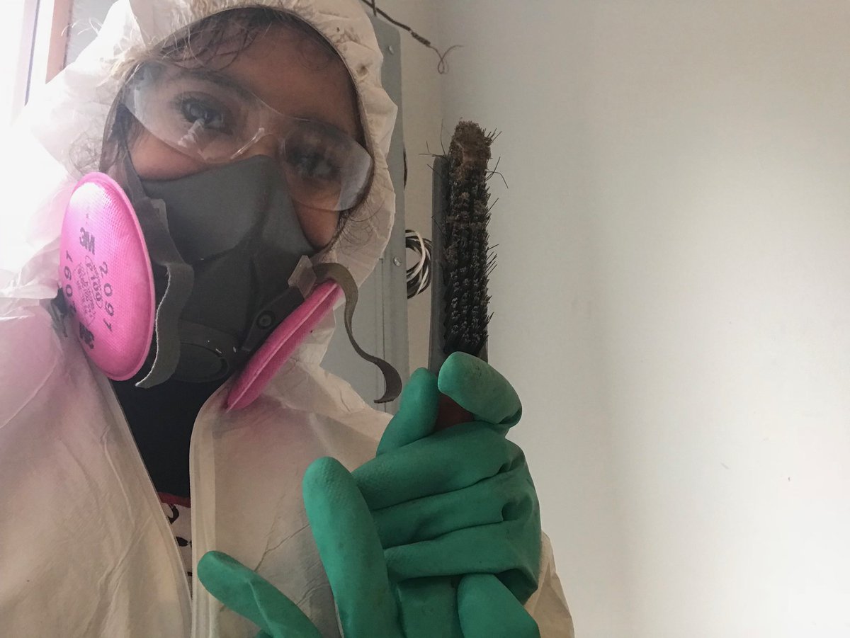 FDUStudentUnion's tweet photo. We’re having a great time on alternative spring break, giving back to the community has been a rewarding experience! 🔨👷♀️👷♂️
#FDUMetro #FDUStudentLife #FDUStudentUnion https://t.co/CW3gUOIRoe