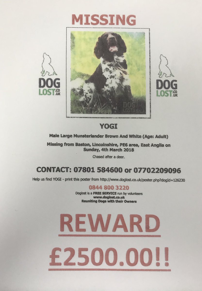 cjsuppliesltd's tweet photo. Missing dog please can everyone RT https://t.co/K9beNu5Sdp