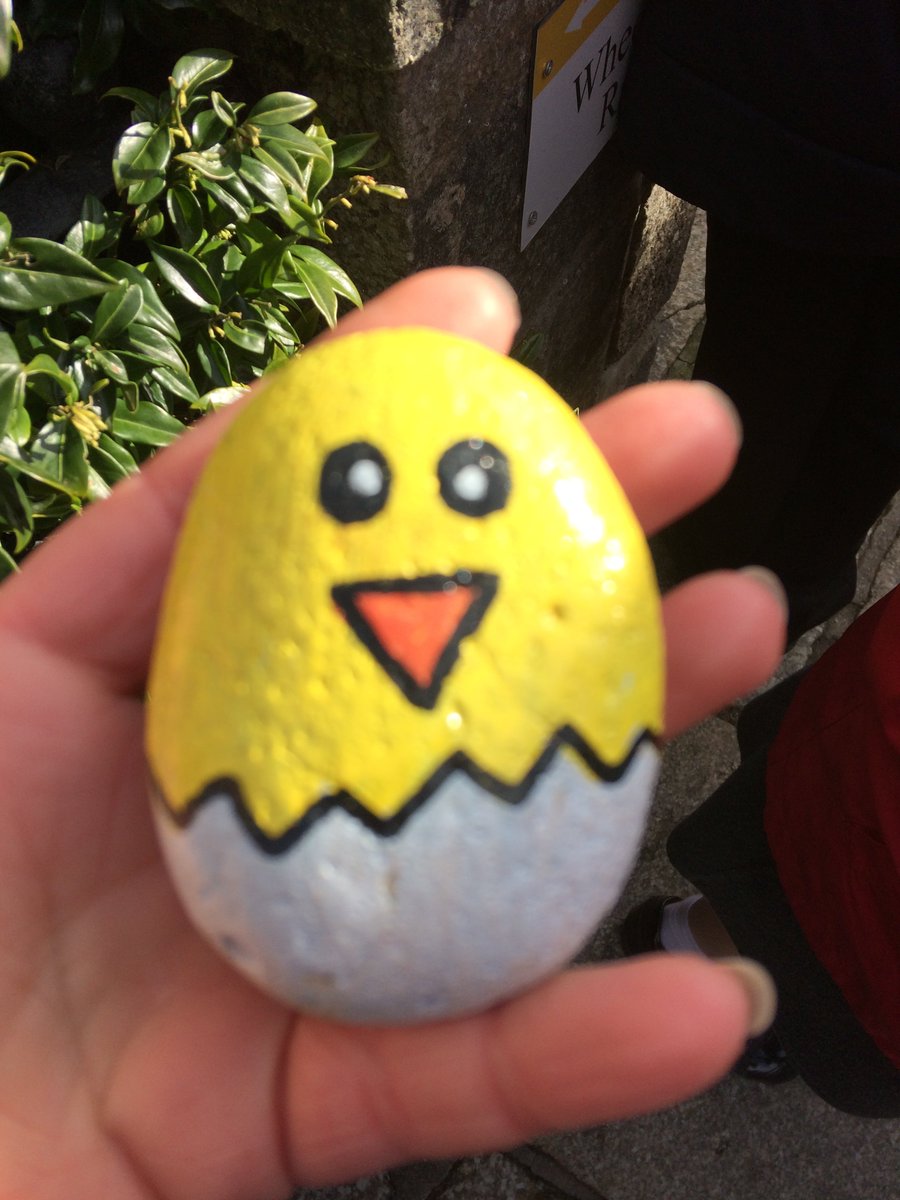 PencalenickSch's tweet photo. A successful morning rock hunting with KS2 #KernowRocks #TruroRocks always worth popping into @TruroLib and the library garden https://t.co/TqPwgPS85b