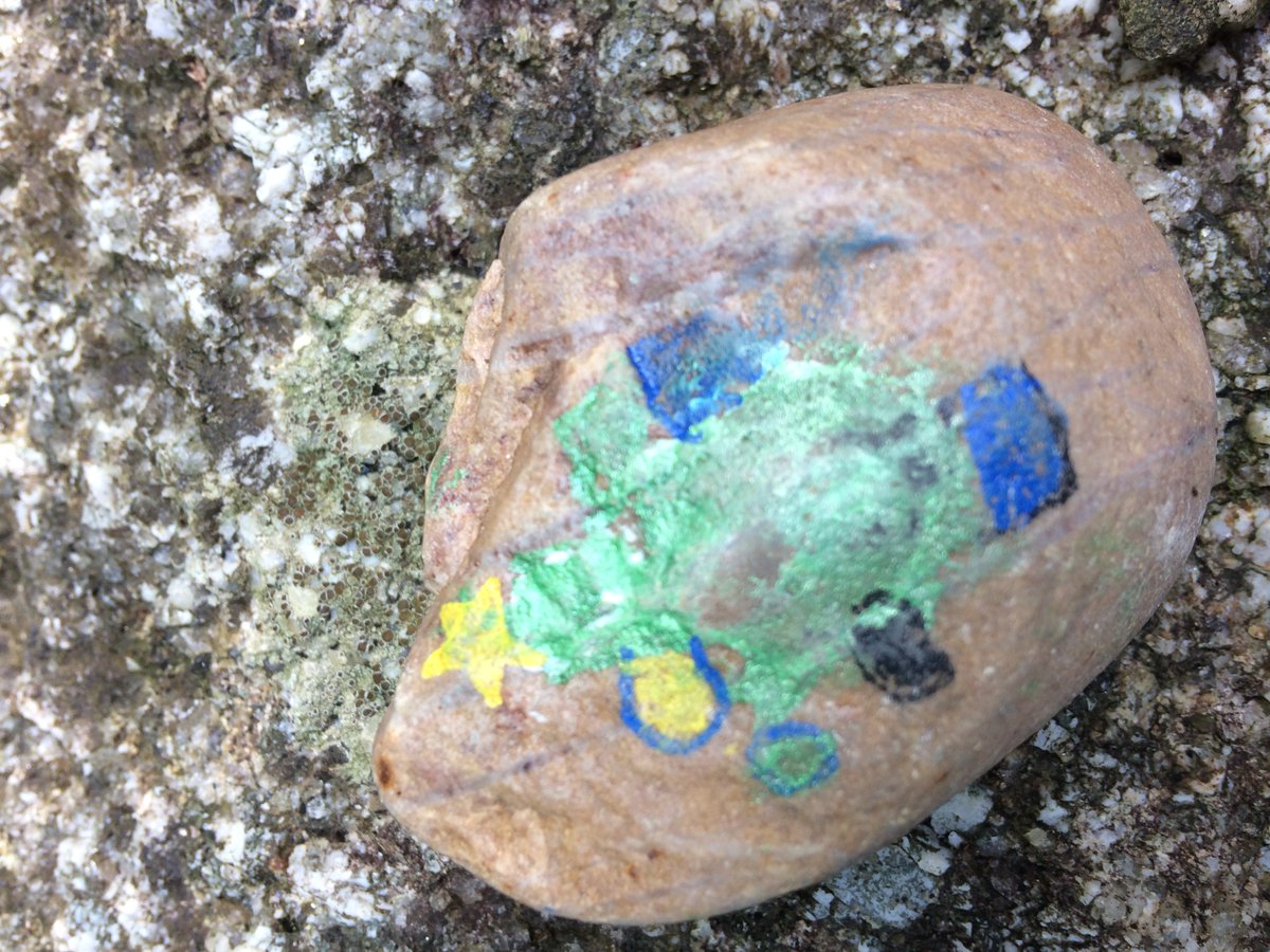 PencalenickSch's tweet photo. A successful morning rock hunting with KS2 #KernowRocks #TruroRocks always worth popping into @TruroLib and the library garden https://t.co/6KxhK6PfdN