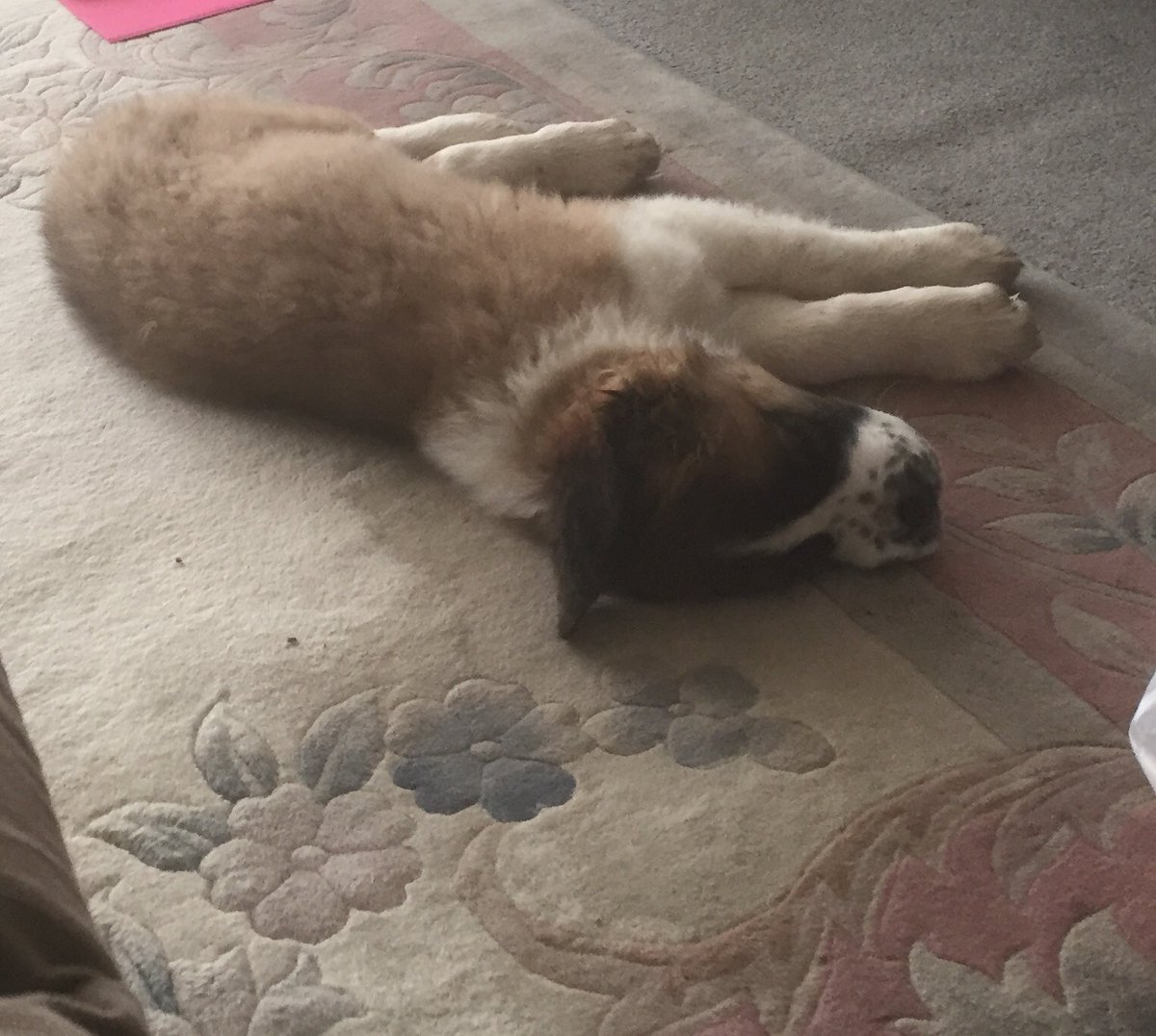 Нина Авдеева on Twitter: