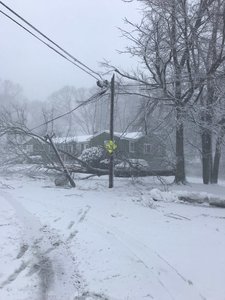 National Grid Us On Twitter We Are Seeing An Increase In Outages Due To The Blizzard Bringing Down Wires And Equipment We Have Hundreds Of Crews Working Across Ma And Ri To