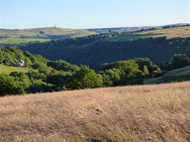 How many different habitats can you see in this landscape above #HebdenBridge? Hilltop meadows,  steep wooded river valleys and rolling heather moor, each with its own plantlife and wildlife. Amazing natural diversity squeezed into the unique landscape of the #UpperCalderValley