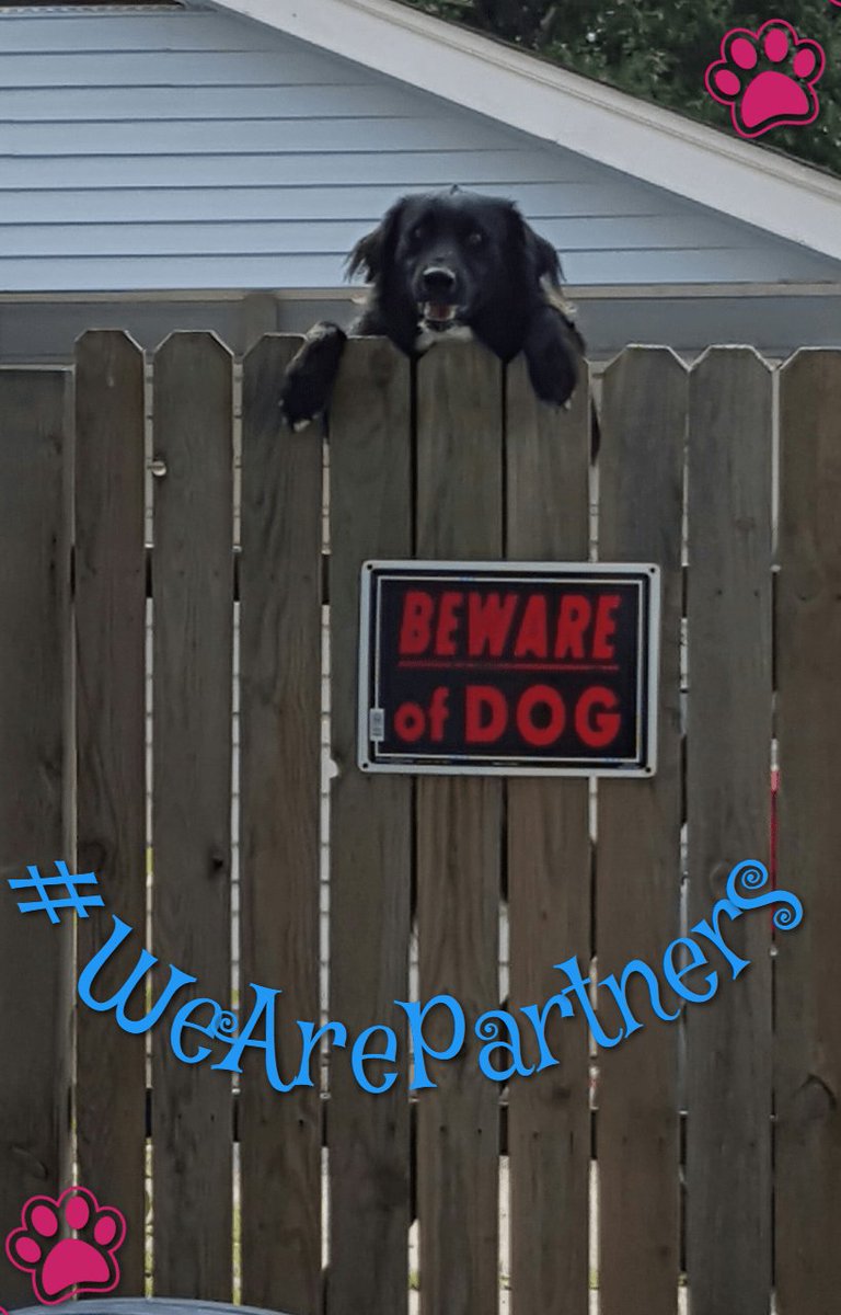 A big thanks to <a href="/googlepartners/">Google Partners</a> for helping grow our customers' businesses. @MaconRaine maconraine.com/pet-friendly/  #WeArePartners #contest maconraine.com/google-grant-m…