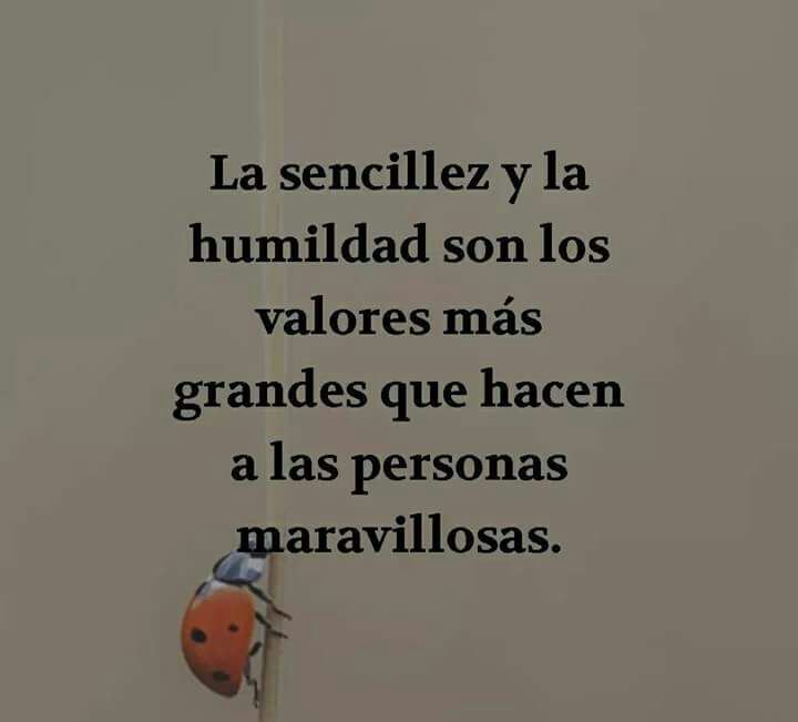 LynnAguirre's tweet photo. Espero que estés bien https://t.co/7G13Ku3RxJ