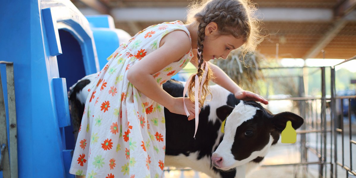 UnitedDairyInc's tweet photo. Pick up United Dairy products today and support Local Farms, Local Employees and their Families! #drinkunited #buylocal #localemployees #milkpep https://t.co/6pjtfuwvT0