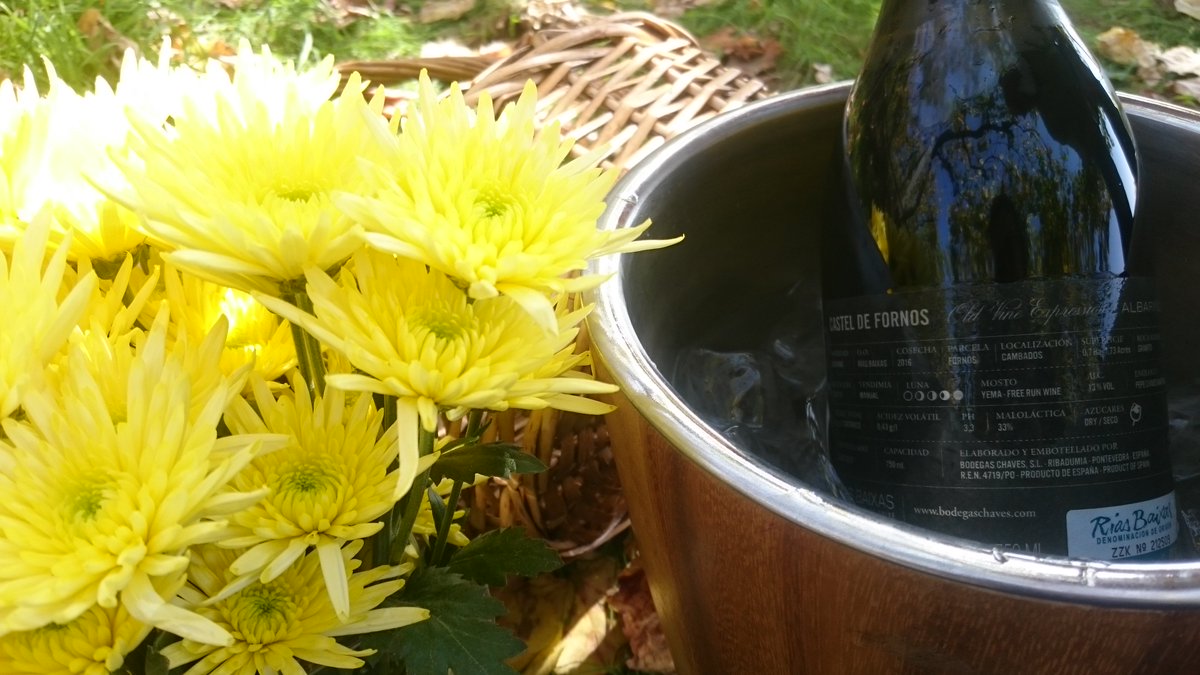 Bodegas Chaves S.L. tweet media