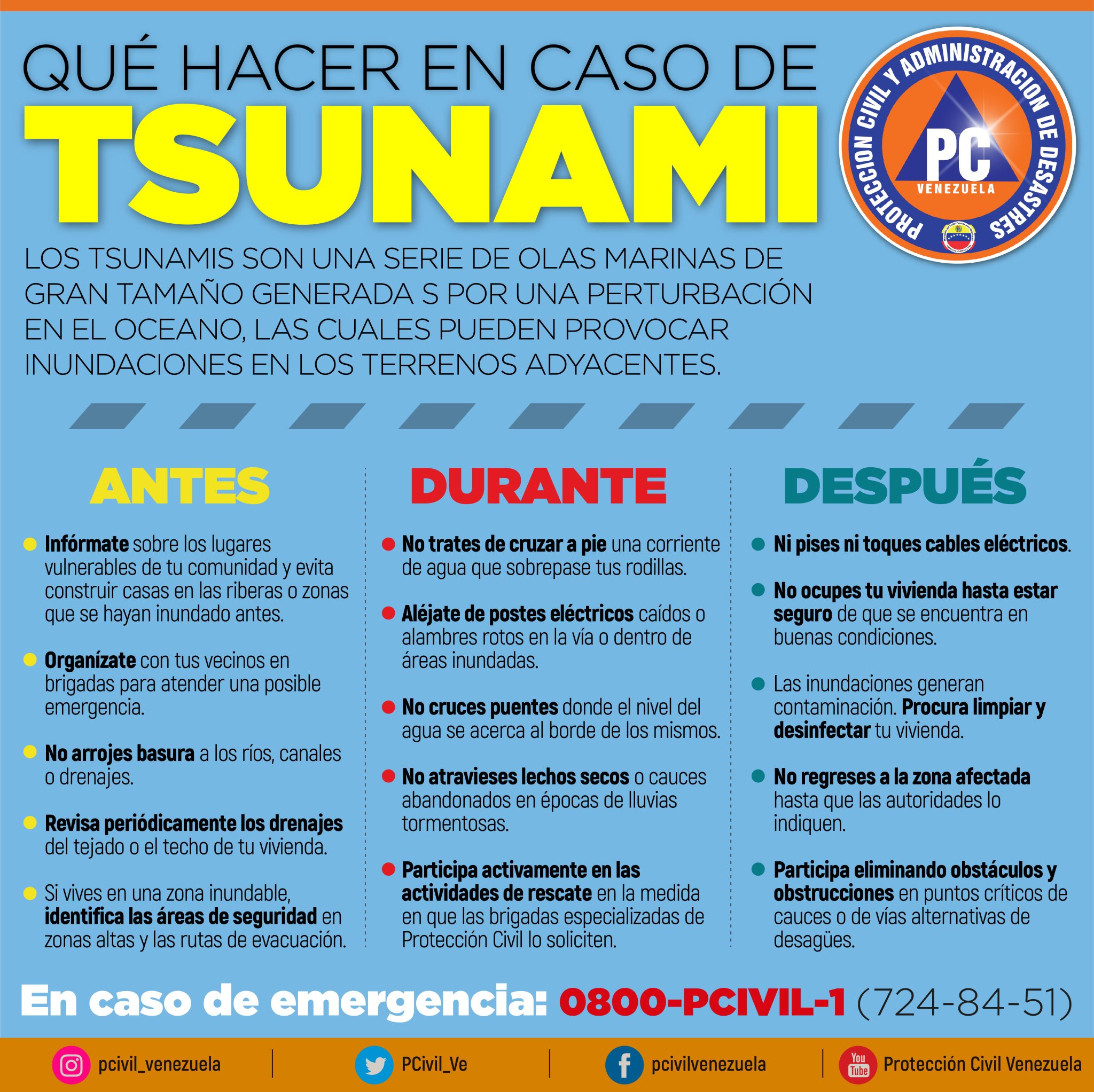 Álbumes 97+ Imagen De Fondo Que Hacer En Caso De Tsunami Infografia