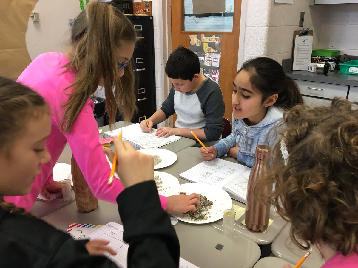 Stacy Calise tweet media