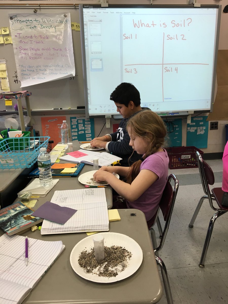 Stacy Calise tweet media