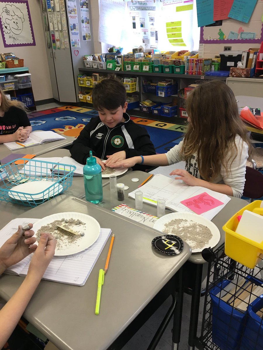 Stacy Calise tweet media