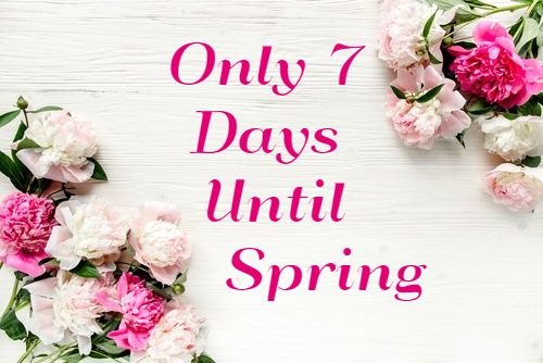 Spring is only 1 week away! Get a head start on your Spring arrangements. Call or stop in today.
