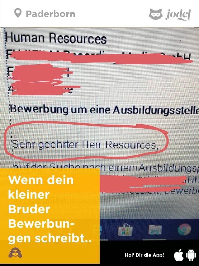 Wenn der kleine Bruder Bewerbungen schreibt... 😜 #joke #bewerbung #internetfundstück #jodel
