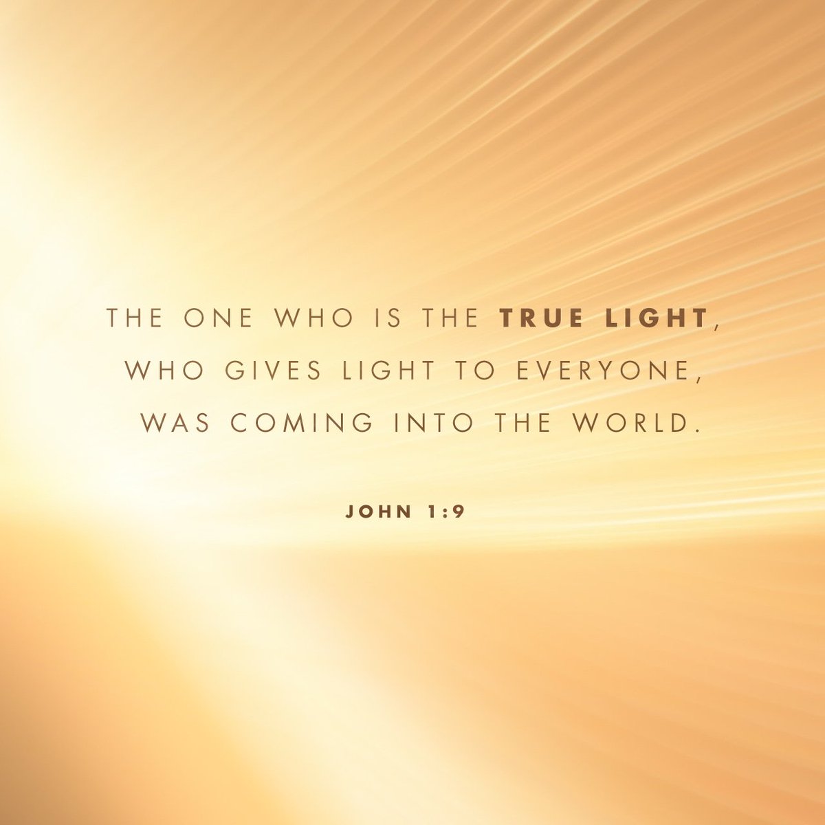 YouVersion Bible App tweet media