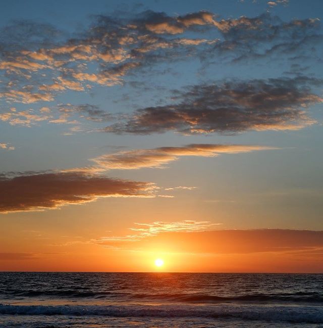 First_We_Eat's tweet image. Hello hi, still struggling with the fact I don’t live on a beach in Mexico with all inclusive mojitos at my beck and call, hbu? ift.tt/2tHAckv