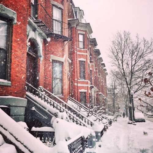 Metropolis Boston tweet media