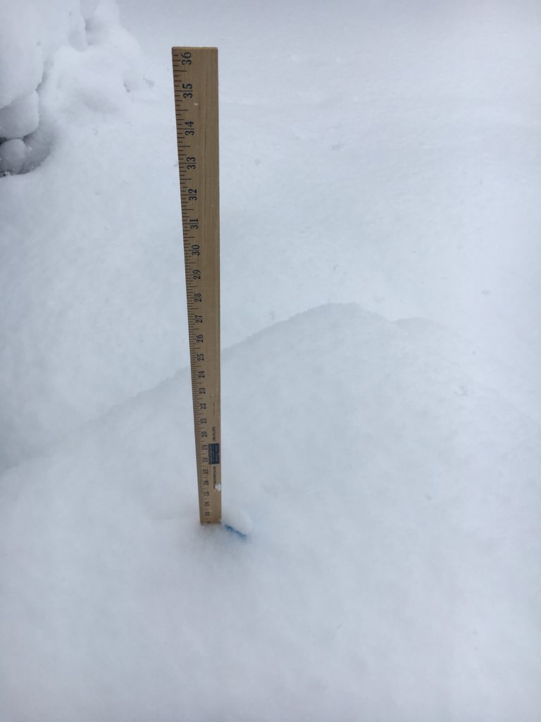 olearydesign's tweet photo. @HarveyWCVB 12” ruler is buried. Moving on to the Yard Stick here in Shrewsbury https://t.co/vMmmWlarSj