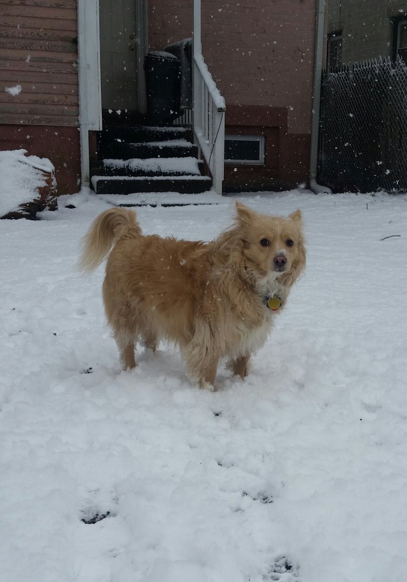 emergencygrace's tweet photo. #snowbeast https://t.co/NDPuDA04OV