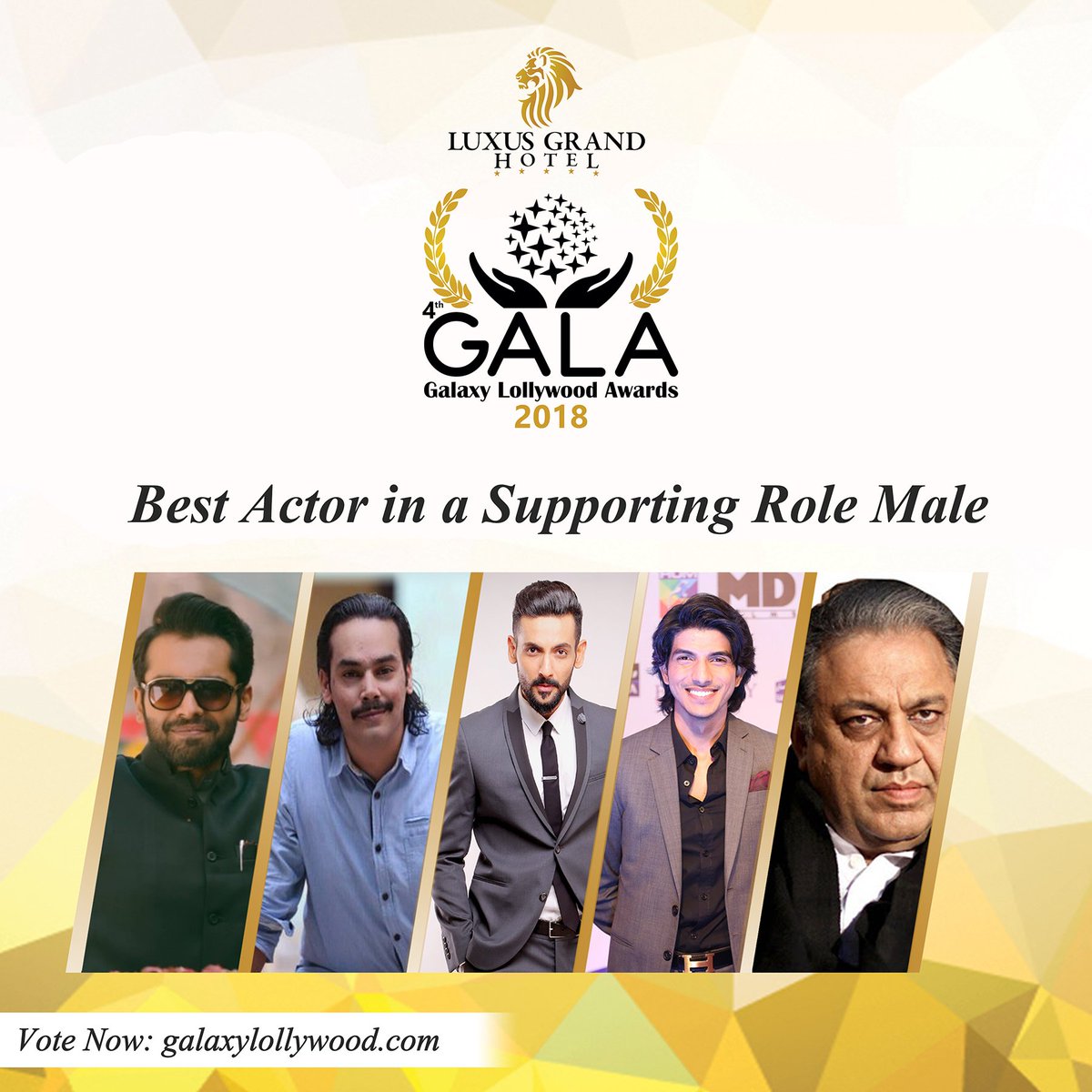 Category # 6 Best Actor in a Supporting Role Male
For voting go to galaxylollywood.com/galaxylollywoo… #GalaxyLollywoodAwards #GALA2018 #LuxusGrand