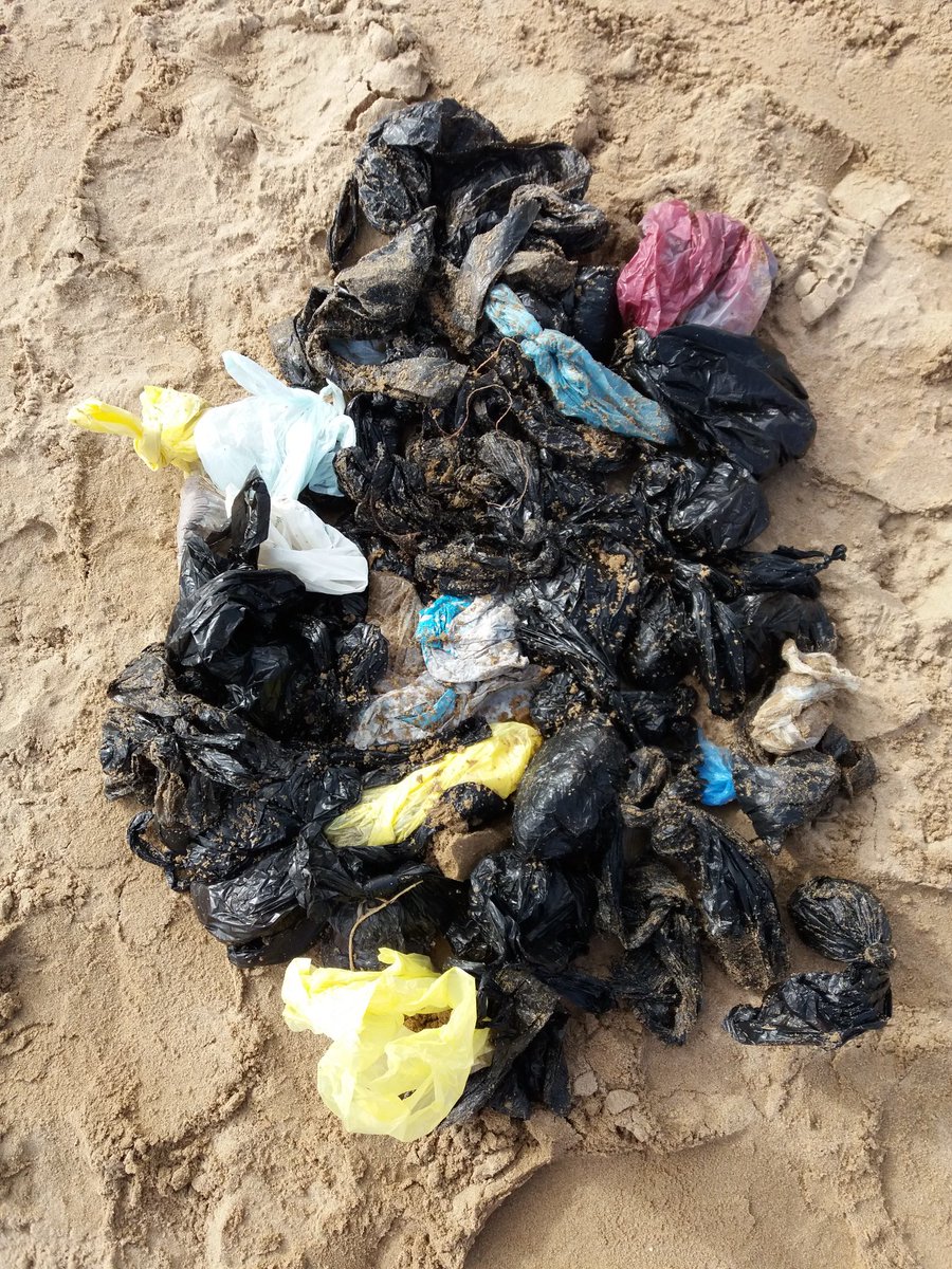 FyldeBeachCare's tweet photo. Today the St Anne's beach clean volunteers collected 61 bags of dog poo left on the beach and sand dunes, this doesn't include the dozens of piles of un-bagged dog waste... please remember dog poo is a health hazard, always bag AND bin it. https://t.co/7Km5Vp36Tf