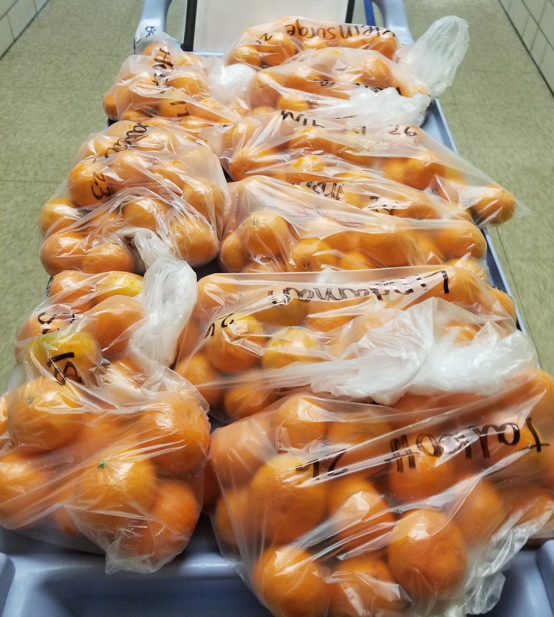 What are your kiddos snacking on today? We are having clementines! #keepFFVPfresh