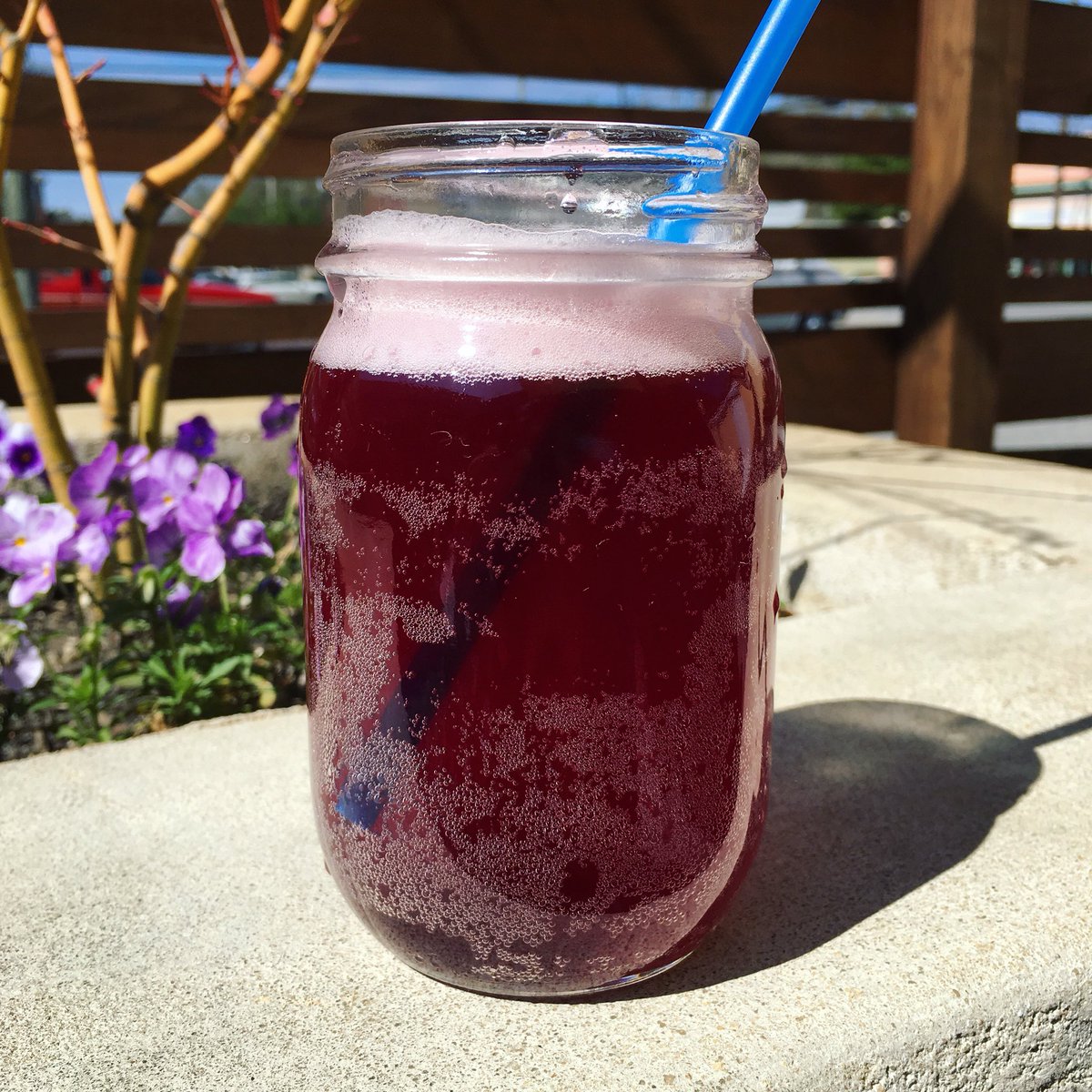 Blueberry-Elderberry #Kombucha from Panacea Brewing Company #WilmingtonNC !!