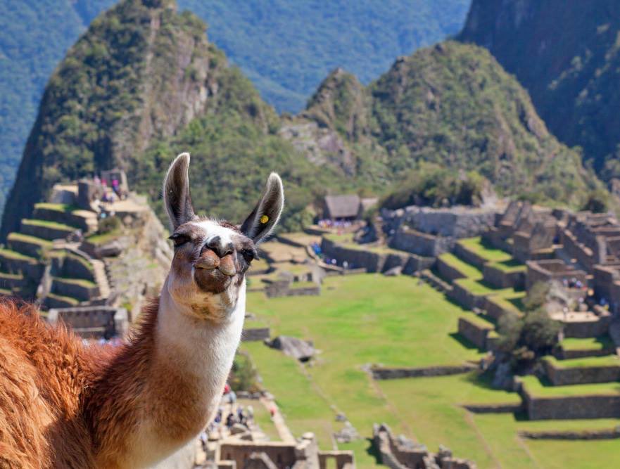 MightyCassandra's tweet photo. So I hear Bill & Huma are taking Hillary on vacation to Machu Picchu! I highly recommend the Huayan Hike. It’s an event not to be missed! #TuesdayThoughts #Trekking #StairsOfDeath #HillarysHealth #StillNotPresident #yourbrainondrugs https://t.co/TFgN80sR07