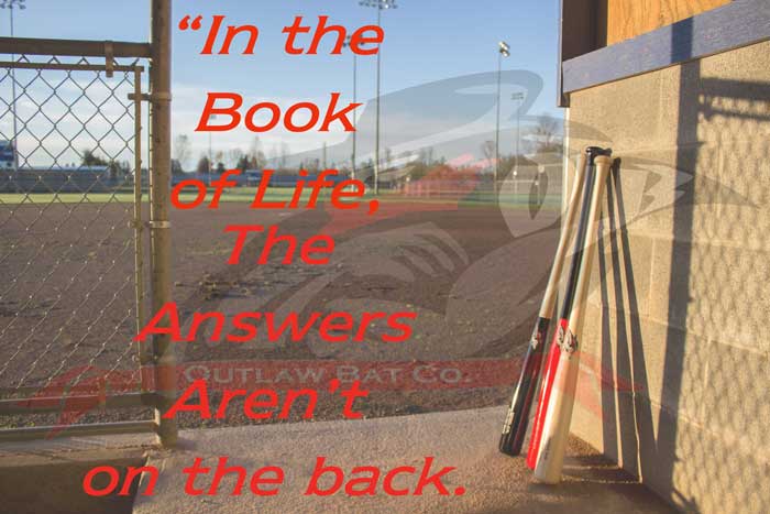 Outlaw Bats tweet media