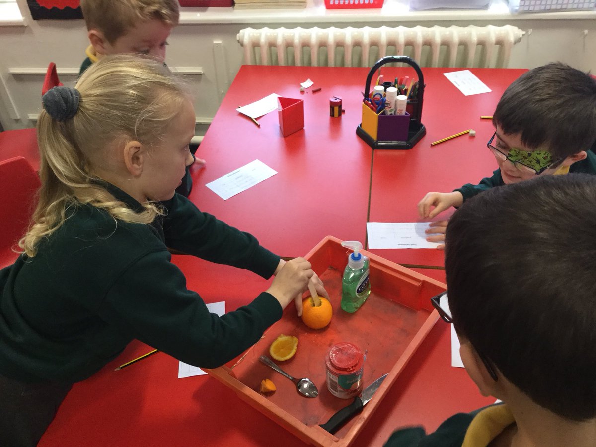 firsprimarysale's tweet photo. #year2KH/CN making predictions and carrying out further experiments. #fruitvolcanoes #chemicalreaction https://t.co/RyHjMi44PZ