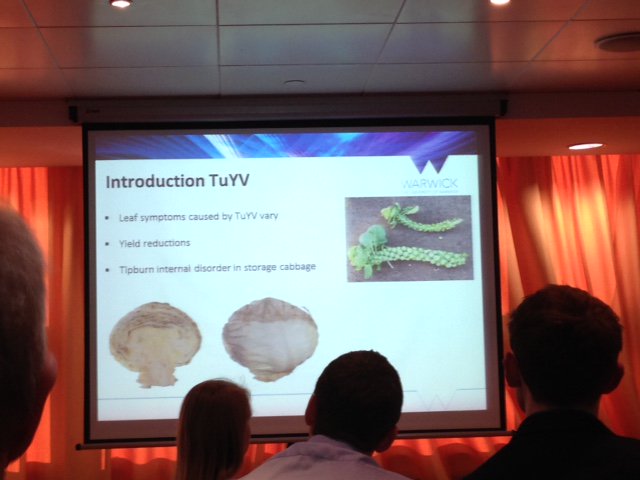Tozerseeds's tweet photo. Interesting presentations at the Horticulture and Potato Initiative Conference #HAPI2018 @WarwickLifeSci @BBSRC #plantbreedingmatters https://t.co/SupF5yZvuy