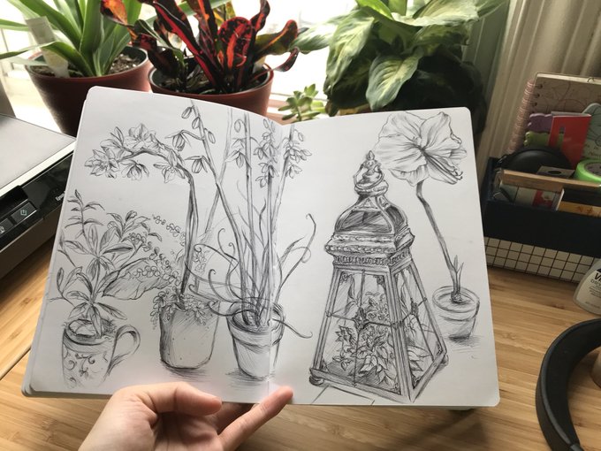 Went to the philly flower show to draw some plants  ?? 