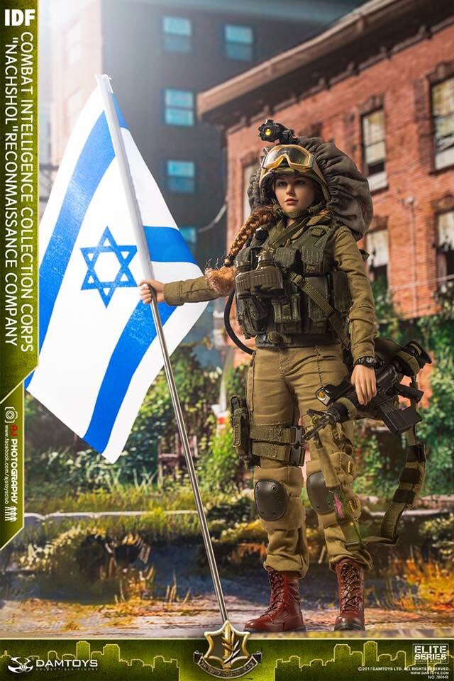 IDF DAMTOYS DAM 1⁄6 Intelligence Collection Corps Toys Combat 0