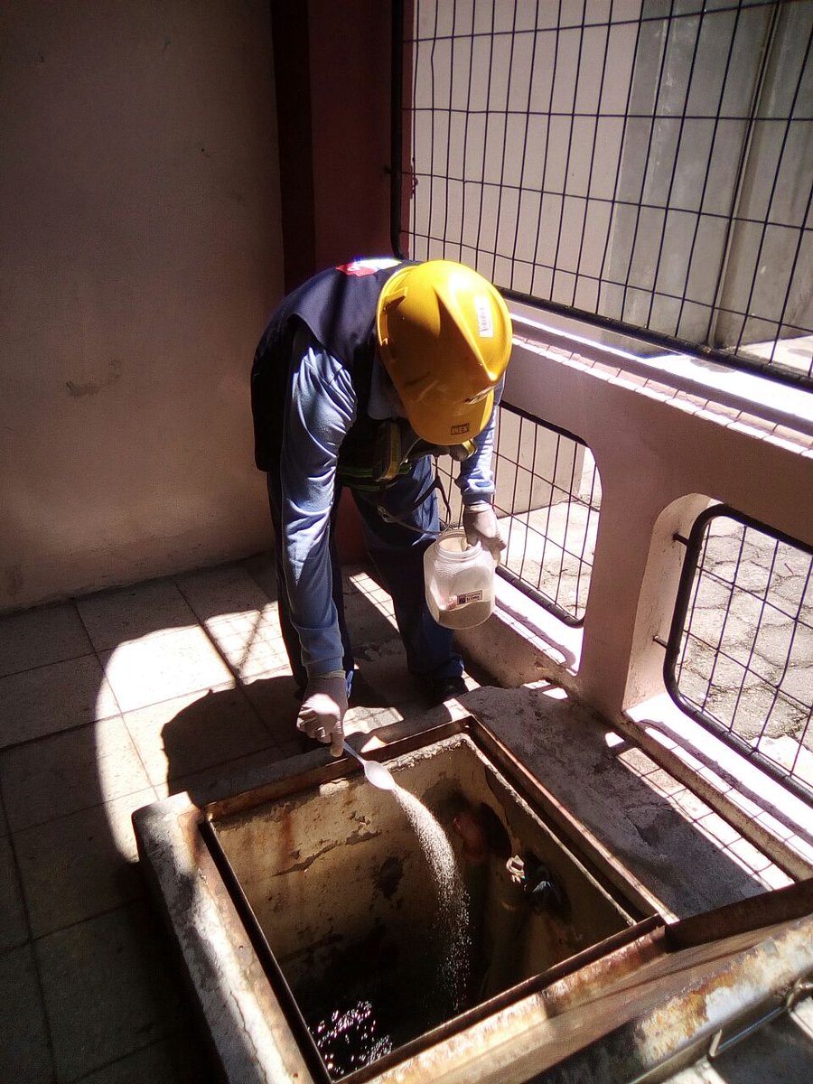 Salud_Guayas's tweet photo. #Distrito09D02 Fumigación y abatización se realiza en la unidad educativa IPAC sector #Puntillla #UnidosContraElZika #EtapaInvernal. https://t.co/pHpRgSR20E