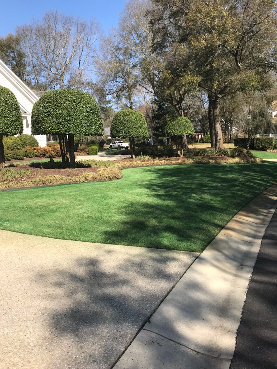 TurfPaintGirl's tweet photo. Gorgeous application by @geoponics #Endurant powerhouse tech team on homeowner lawn at @Landfall POA in Wilmington NC. Applications provide #landscapers with additional yearly revenue while providing exceptional results homeowners immediately love. Great job @KeithWi58788556! https://t.co/8OJqzN1yX5