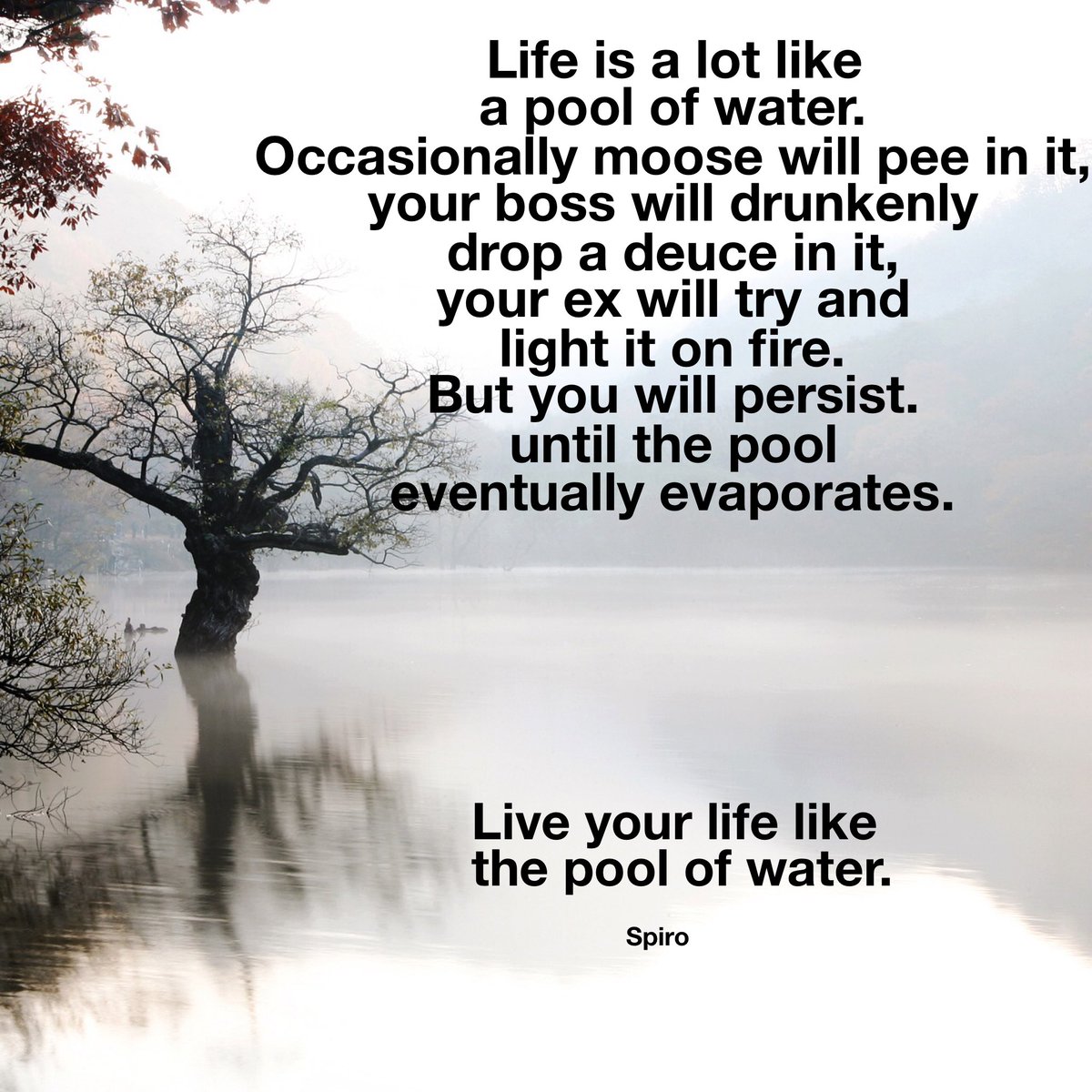 LifeCoachGus's tweet photo. Truly #inspirational #tuesday https://t.co/2mSLIgvHWC