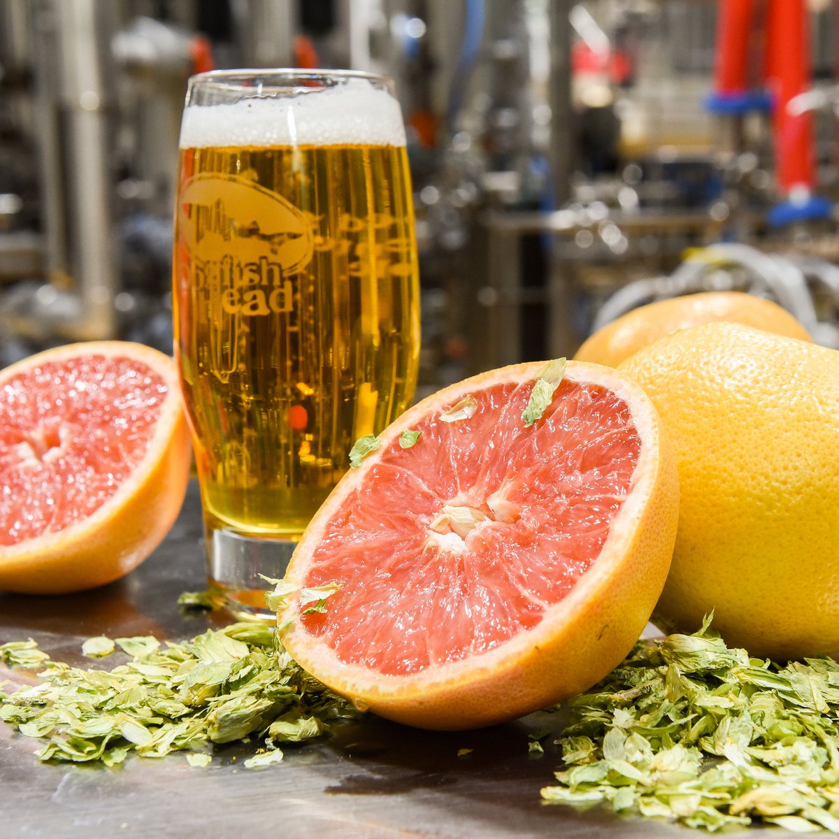 LiveAtFirefly's tweet photo. Let the voting begin! Our friends @dogfishbeer want YOU to decide what this year's #FireflyAle is going to taste like! With a pale ale as the base, choose between grapefruit, yuzu or guava as the main ingredient. Comment your favorite below. Voting closes 3/14 at midnight ET. 🍻 https://t.co/3B0LYEJSyX